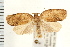  ( - PFC-2006-0494)  @14 [ ] CreativeCommons - Attribution (2008) Unspecified Centre for Biodiversity Genomics