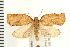 ( - PFC-2006-0495)  @14 [ ] CreativeCommons - Attribution (2008) Unspecified Centre for Biodiversity Genomics
