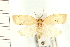  ( - PFC-2006-0330)  @13 [ ] CreativeCommons - Attribution (2008) Unspecified Centre for Biodiversity Genomics