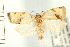  ( - PFC-2006-0331)  @13 [ ] CreativeCommons - Attribution (2008) Unspecified Centre for Biodiversity Genomics