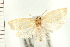  ( - PFC-2006-0332)  @13 [ ] CreativeCommons - Attribution (2008) Unspecified Centre for Biodiversity Genomics