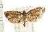  ( - PFC-2006-0512)  @14 [ ] CreativeCommons - Attribution (2008) Unspecified Centre for Biodiversity Genomics