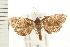  ( - PFC-2006-0514)  @14 [ ] CreativeCommons - Attribution (2008) Unspecified Centre for Biodiversity Genomics