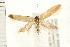  ( - PFC-2006-0530)  @13 [ ] CreativeCommons - Attribution (2008) Unspecified Centre for Biodiversity Genomics