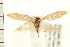  ( - PFC-2006-0532)  @13 [ ] CreativeCommons - Attribution (2008) Unspecified Centre for Biodiversity Genomics