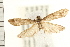  ( - PFC-2006-0546)  @14 [ ] CreativeCommons - Attribution (2008) Unspecified Centre for Biodiversity Genomics