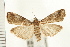 ( - PFC-2006-0554)  @14 [ ] CreativeCommons - Attribution (2008) Unspecified Centre for Biodiversity Genomics