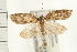  ( - PFC-2006-0555)  @13 [ ] CreativeCommons - Attribution (2008) Unspecified Centre for Biodiversity Genomics