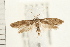  ( - PFC-2006-0569)  @13 [ ] CreativeCommons - Attribution (2008) Unspecified Centre for Biodiversity Genomics