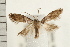  ( - PFC-2006-0572)  @14 [ ] CreativeCommons - Attribution (2008) Unspecified Centre for Biodiversity Genomics