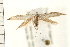 ( - PFC-2006-0576)  @13 [ ] CreativeCommons - Attribution (2008) Unspecified Centre for Biodiversity Genomics