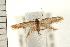  ( - PFC-2006-0578)  @13 [ ] CreativeCommons - Attribution (2008) Unspecified Centre for Biodiversity Genomics