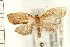  ( - PFC-2006-0634)  @13 [ ] CreativeCommons - Attribution (2008) Unspecified Centre for Biodiversity Genomics
