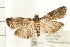  ( - PFC-2006-0673)  @14 [ ] CreativeCommons - Attribution (2008) Unspecified Centre for Biodiversity Genomics