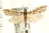  ( - PFC-2006-0679)  @14 [ ] CreativeCommons - Attribution (2008) Unspecified Centre for Biodiversity Genomics
