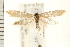  ( - PFC-2006-0689)  @13 [ ] CreativeCommons - Attribution (2008) Unspecified Centre for Biodiversity Genomics