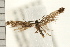  ( - PFC-2006-0697)  @13 [ ] CreativeCommons - Attribution (2008) Unspecified Centre for Biodiversity Genomics