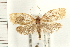  ( - PFC-2006-0722)  @14 [ ] CreativeCommons - Attribution (2008) Unspecified Centre for Biodiversity Genomics