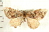  ( - PFC-2006-0757)  @14 [ ] CreativeCommons - Attribution (2008) Unspecified Centre for Biodiversity Genomics