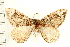  ( - PFC-2006-0759)  @14 [ ] CreativeCommons - Attribution (2008) Unspecified Centre for Biodiversity Genomics
