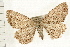  ( - PFC-2006-0768)  @11 [ ] CreativeCommons - Attribution (2008) Unspecified Centre for Biodiversity Genomics