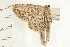  ( - PFC-2006-0769)  @14 [ ] CreativeCommons - Attribution (2008) Unspecified Centre for Biodiversity Genomics