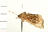  ( - PFC-2006-0864)  @12 [ ] CreativeCommons - Attribution (2008) Unspecified Centre for Biodiversity Genomics
