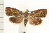  ( - PFC-2006-0894)  @14 [ ] CreativeCommons - Attribution (2008) Unspecified Centre for Biodiversity Genomics