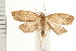  ( - PFC-2006-0915)  @13 [ ] CreativeCommons - Attribution (2008) Unspecified Centre for Biodiversity Genomics