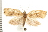  ( - PFC-2006-0919)  @14 [ ] CreativeCommons - Attribution (2008) Unspecified Centre for Biodiversity Genomics