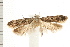  ( - PFC-2006-0943)  @14 [ ] CreativeCommons - Attribution (2008) Unspecified Centre for Biodiversity Genomics