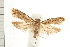 ( - PFC-2006-0944)  @14 [ ] CreativeCommons - Attribution (2008) Unspecified Centre for Biodiversity Genomics