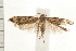  ( - PFC-2006-0945)  @14 [ ] CreativeCommons - Attribution (2008) Unspecified Centre for Biodiversity Genomics