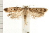  ( - PFC-2006-0957)  @14 [ ] CreativeCommons - Attribution (2008) Unspecified Centre for Biodiversity Genomics