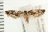  ( - PFC-2006-2500)  @13 [ ] CreativeCommons - Attribution (2009) Unspecified Centre for Biodiversity Genomics
