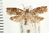  ( - PFC-2006-2520)  @13 [ ] CreativeCommons - Attribution (2009) Unspecified Centre for Biodiversity Genomics