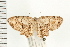  ( - PFC-2006-2540)  @14 [ ] CreativeCommons - Attribution (2009) Unspecified Centre for Biodiversity Genomics