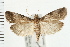  ( - PFC-2006-2542)  @14 [ ] CreativeCommons - Attribution (2009) Unspecified Centre for Biodiversity Genomics