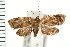  ( - PFC-2006-2548)  @14 [ ] CreativeCommons - Attribution (2009) Unspecified Centre for Biodiversity Genomics