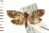  ( - PFC-2006-2550)  @14 [ ] CreativeCommons - Attribution (2009) Unspecified Centre for Biodiversity Genomics