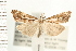  ( - PFC-2006-1722)  @13 [ ] CreativeCommons - Attribution (2009) Unspecified Centre for Biodiversity Genomics