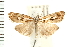  ( - PFC-2006-1730)  @14 [ ] CreativeCommons - Attribution (2009) Unspecified Centre for Biodiversity Genomics
