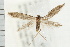  ( - PFC-2006-1361)  @14 [ ] CreativeCommons - Attribution (2009) Unspecified Centre for Biodiversity Genomics