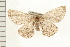  ( - PFC-2006-1374)  @12 [ ] CreativeCommons - Attribution (2009) Unspecified Centre for Biodiversity Genomics