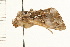  ( - PFC-2006-1416)  @12 [ ] CreativeCommons - Attribution (2009) Unspecified Centre for Biodiversity Genomics