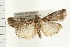  ( - PFC-2006-1427)  @14 [ ] CreativeCommons - Attribution (2009) Unspecified Centre for Biodiversity Genomics