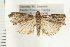  ( - PFC-2006-1429)  @14 [ ] CreativeCommons - Attribution (2009) Unspecified Centre for Biodiversity Genomics