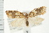  ( - PFC-2006-1447)  @13 [ ] CreativeCommons - Attribution (2009) Unspecified Centre for Biodiversity Genomics