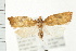  ( - PFC-2006-1448)  @13 [ ] CreativeCommons - Attribution (2009) Unspecified Centre for Biodiversity Genomics