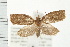  ( - PFC-2006-1450)  @13 [ ] CreativeCommons - Attribution (2009) Unspecified Centre for Biodiversity Genomics